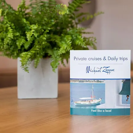 Apartment Michael Zeppos Naousa (Paros)